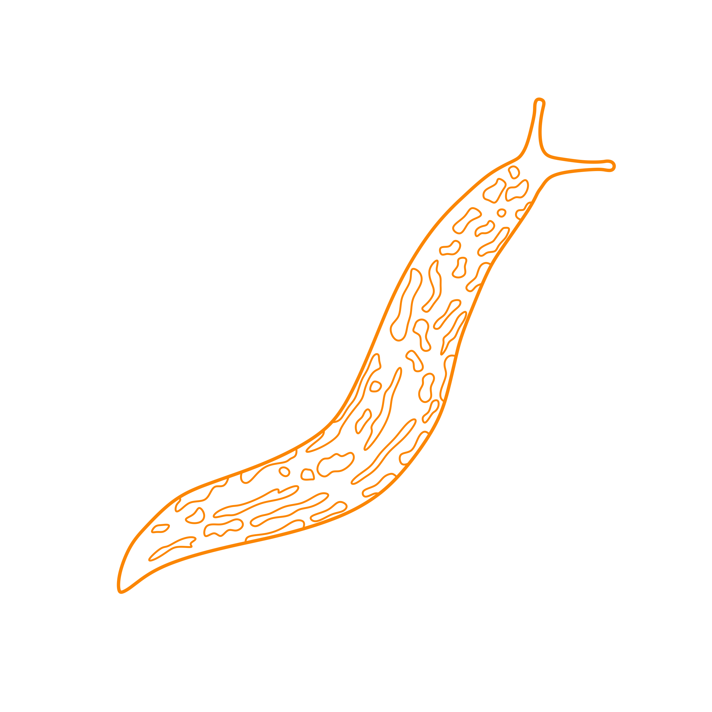 Animals Gastropods Leopard Slug Craft Design Svg File Free Vectors
